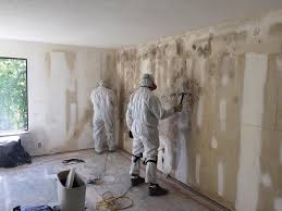 Best Emergency Mold Remediation in Cut Bank, MT